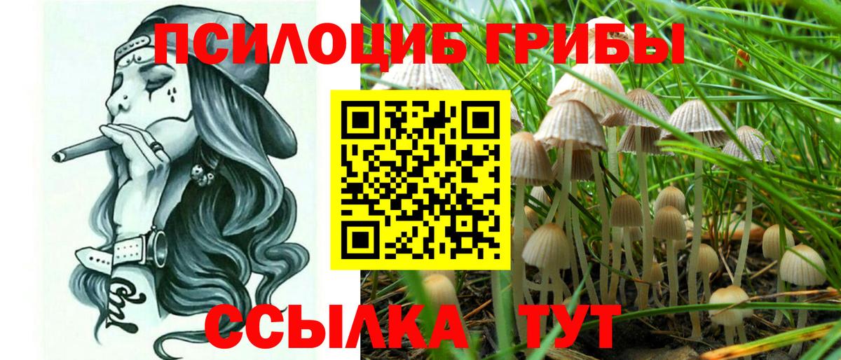 Галлюциногенные грибы мицелий  Вход с VPN  наркота  Борисоглебск  Галлюциногенные грибы прущие грибы 